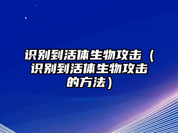 識(shí)別到活體生物攻擊(識(shí)別到活體生物攻擊的方法)