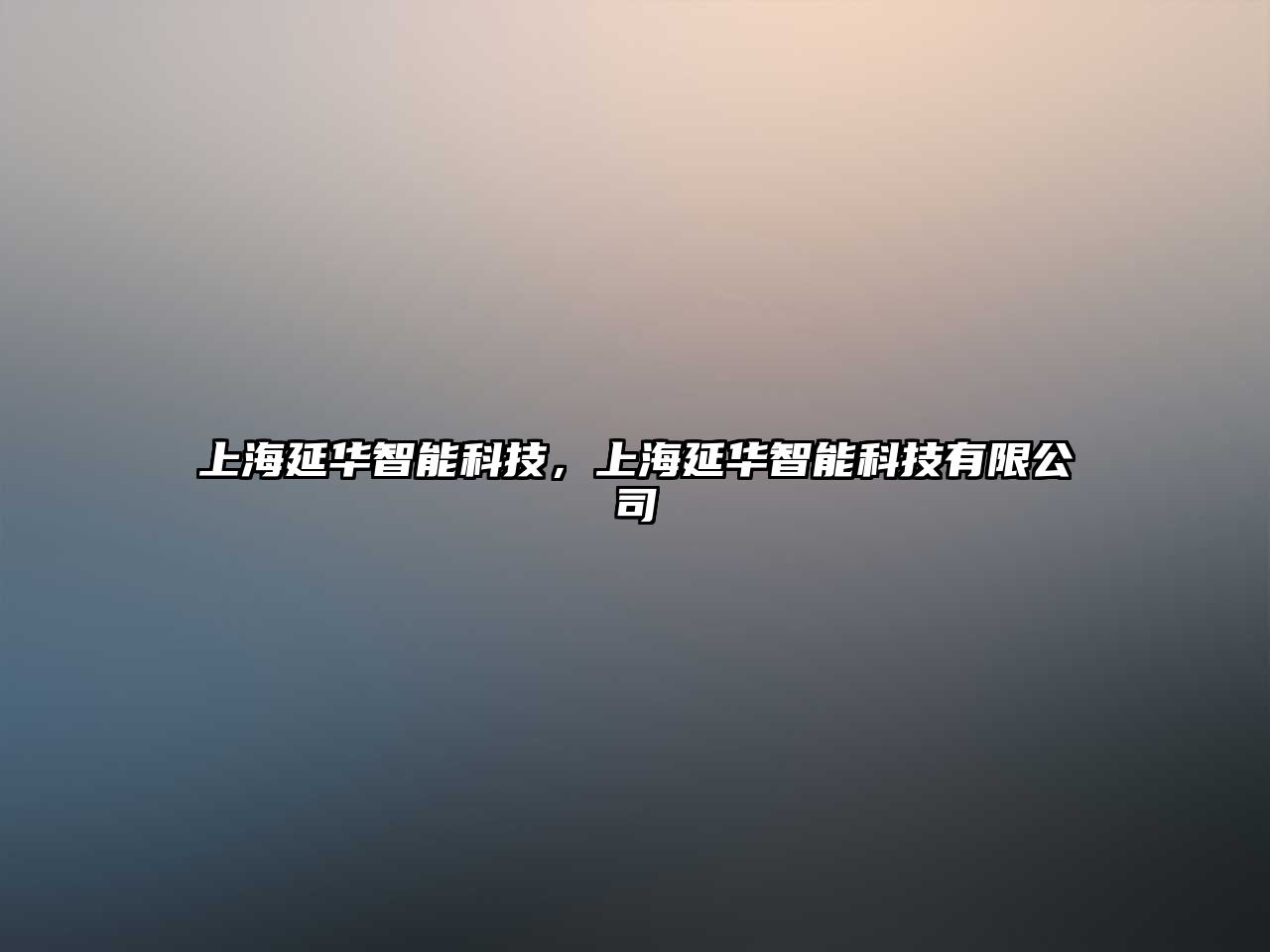 上海延華智能科技，上海延華智能科技有限公司