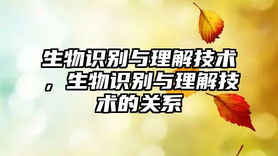 生物識別與理解技術，生物識別與理解技術的關系