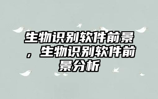 生物識別軟件前景，生物識別軟件前景分析