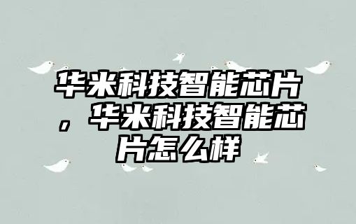 華米科技智能芯片，華米科技智能芯片怎么樣
