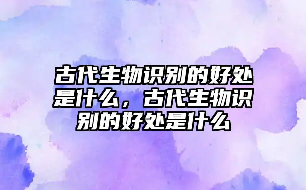 古代生物識別的好處是什么，古代生物識別的好處是什么