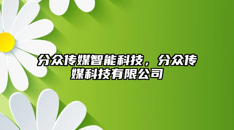 分眾傳媒智能科技，分眾傳媒科技有限公司
