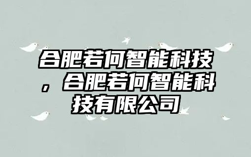 合肥若何智能科技，合肥若何智能科技有限公司