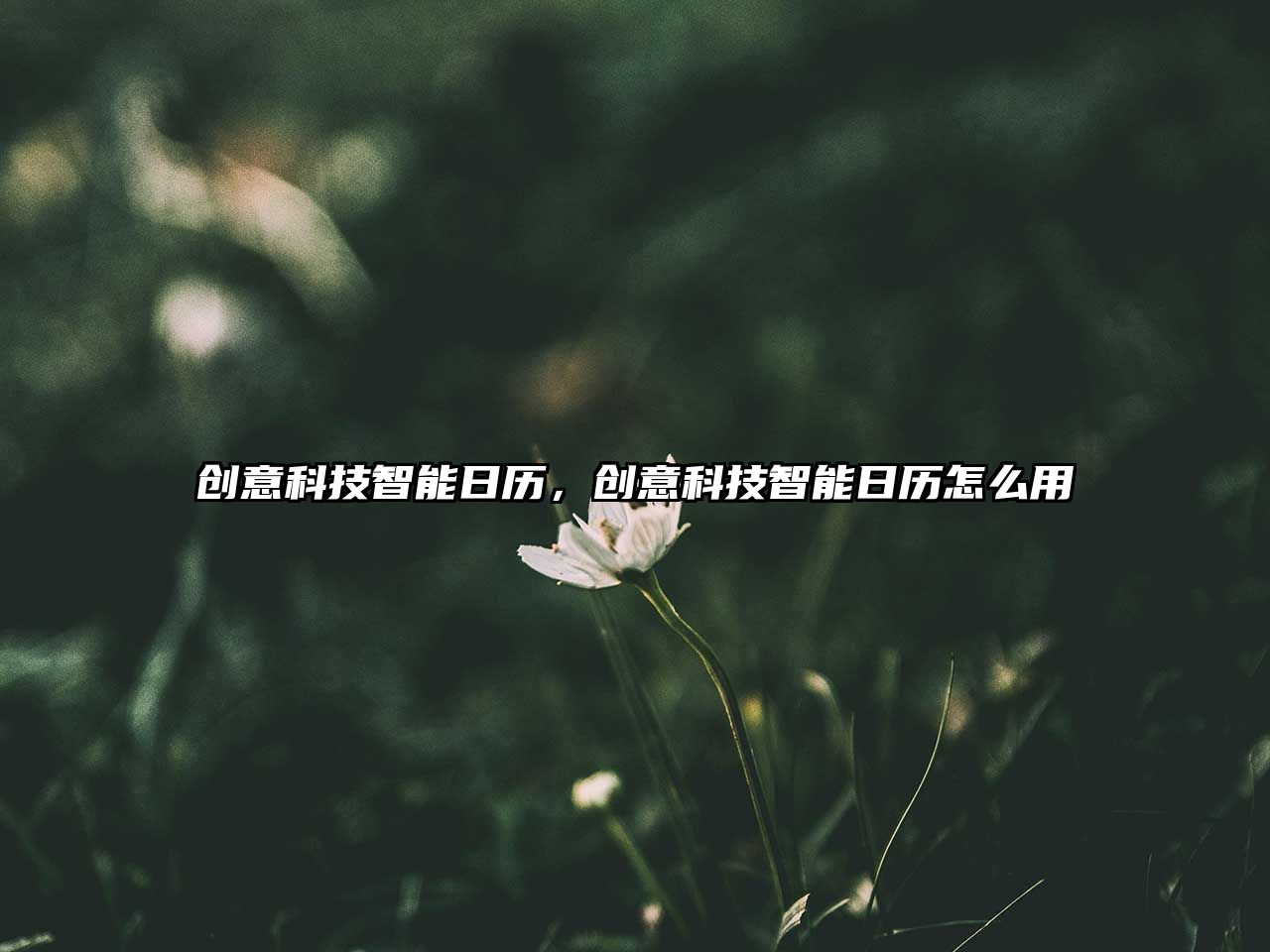 創(chuàng)意科技智能日歷，創(chuàng)意科技智能日歷怎么用